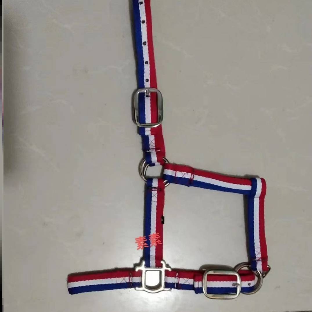 O53-EXTREMELY LARGE (A HORSE OVER 1 METRE 55) PURE COTTON-COLOURED LEAD